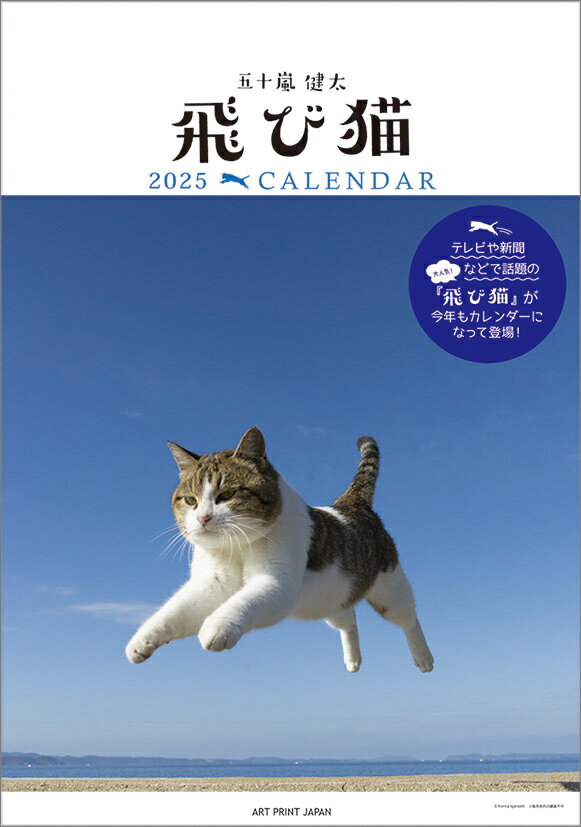 飛び猫（2025年1月始まりカレンダー）