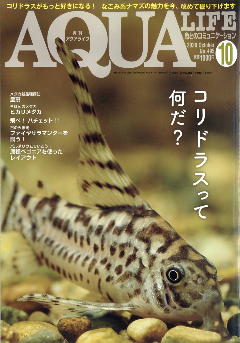 月刊 AQUA LIFE (アクアライフ) 2020年 10月号 [雑誌]