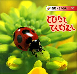 とびたててんとうむし