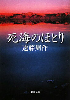 死海のほとりの表紙