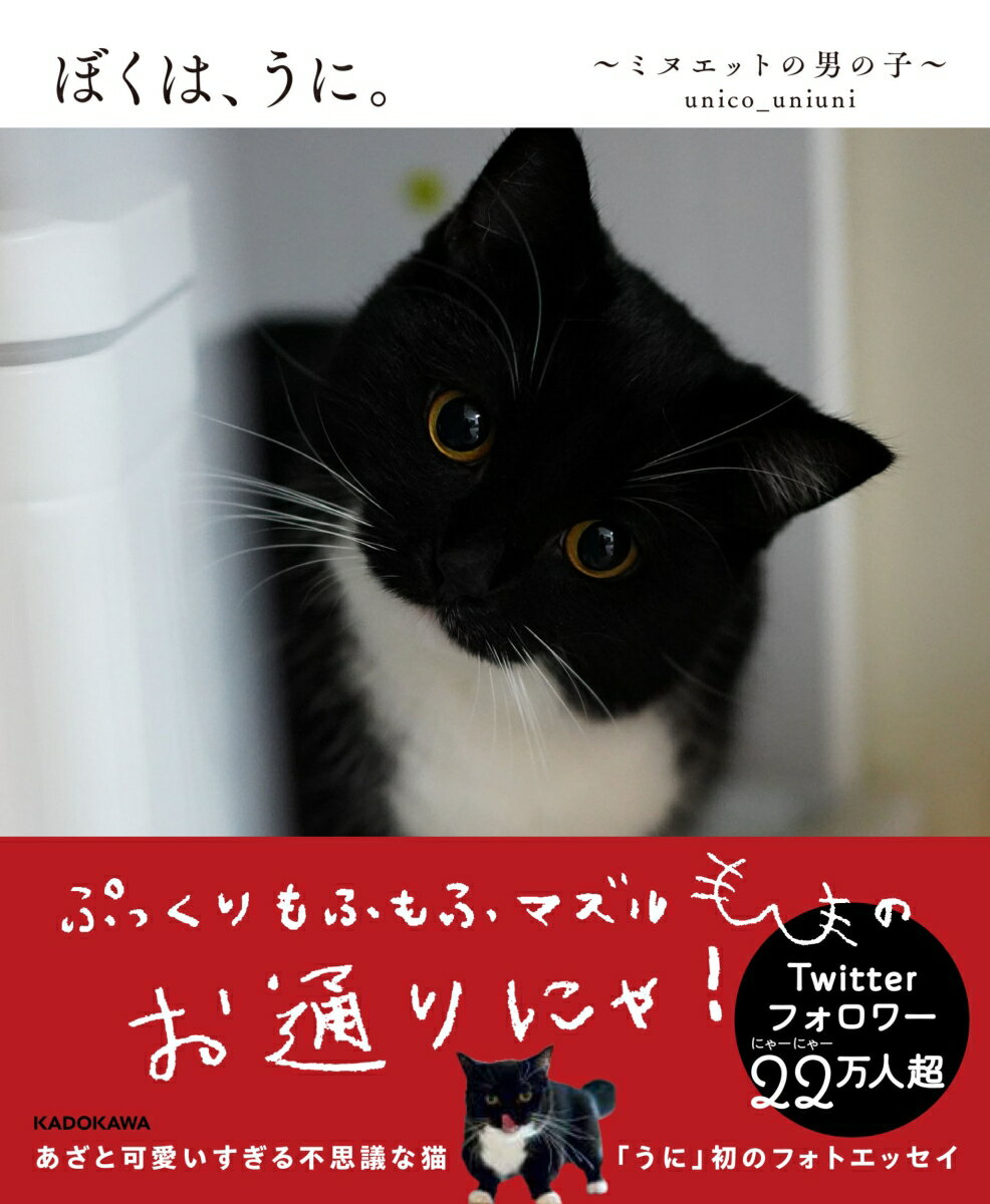 ぼくは、うに。〜ミヌエットの男の子〜