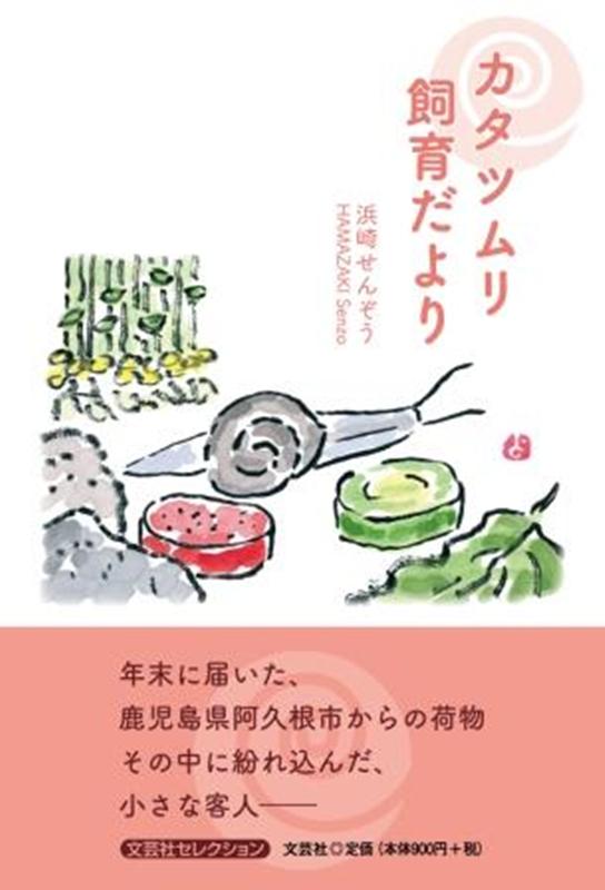 カタツムリ飼育だより