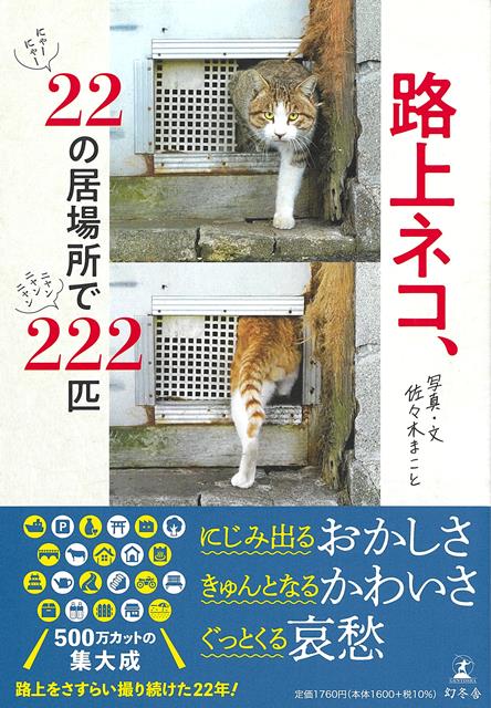 にじみ出るおかしさ・きゅんとなるカワイサ・ぐっとくる哀愁。いろんな場所で！こんなしぐさ、こんな顔、あんな……路上をさすらい撮り続けた22年！500万カットの集大成です。カワイイだけの猫写真集とは一線を画す、野良猫の哀愁と、捉え方のユーモアセンス。膨大な記録から厳選したバラエティ豊かな写真のクオリティ。