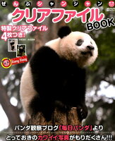 ぜんぶシャンシャンクリアファイルBOOK