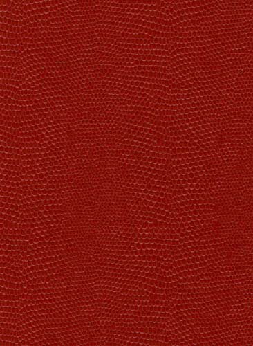 ES�������꡼2017 A5������1����ܥΡ��� ��å�