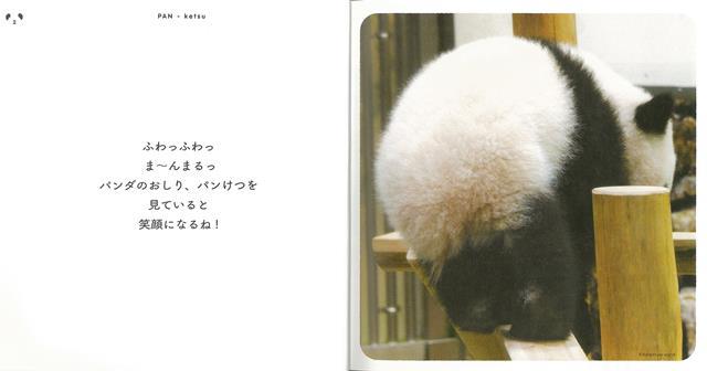 【バーゲン本】パンけつーあつまれ!パンダのおし...の紹介画像3