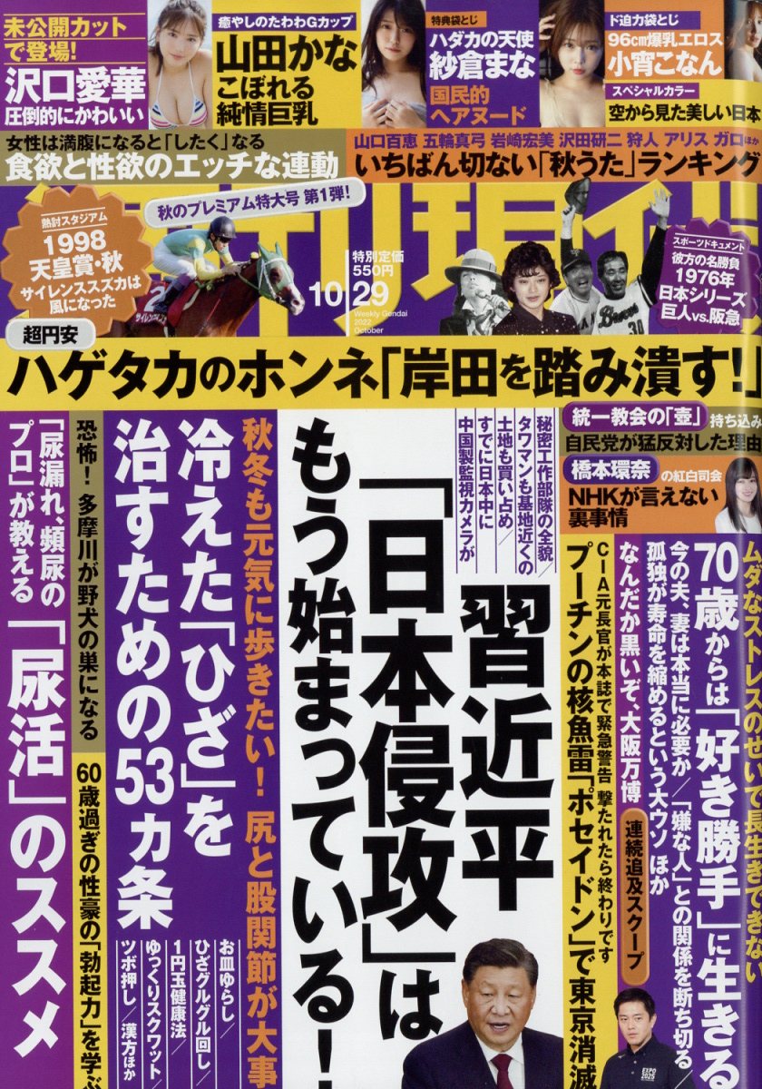 週刊現代 2022年 10/29号 [雑誌]