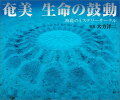 アマミホシゾラフグの驚くべき神秘的な生態、生命の誕生、いのちのつながり、奄美大島初の水中写真集。