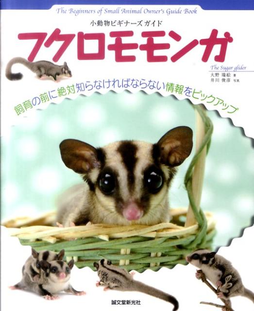 フクロモモンガ