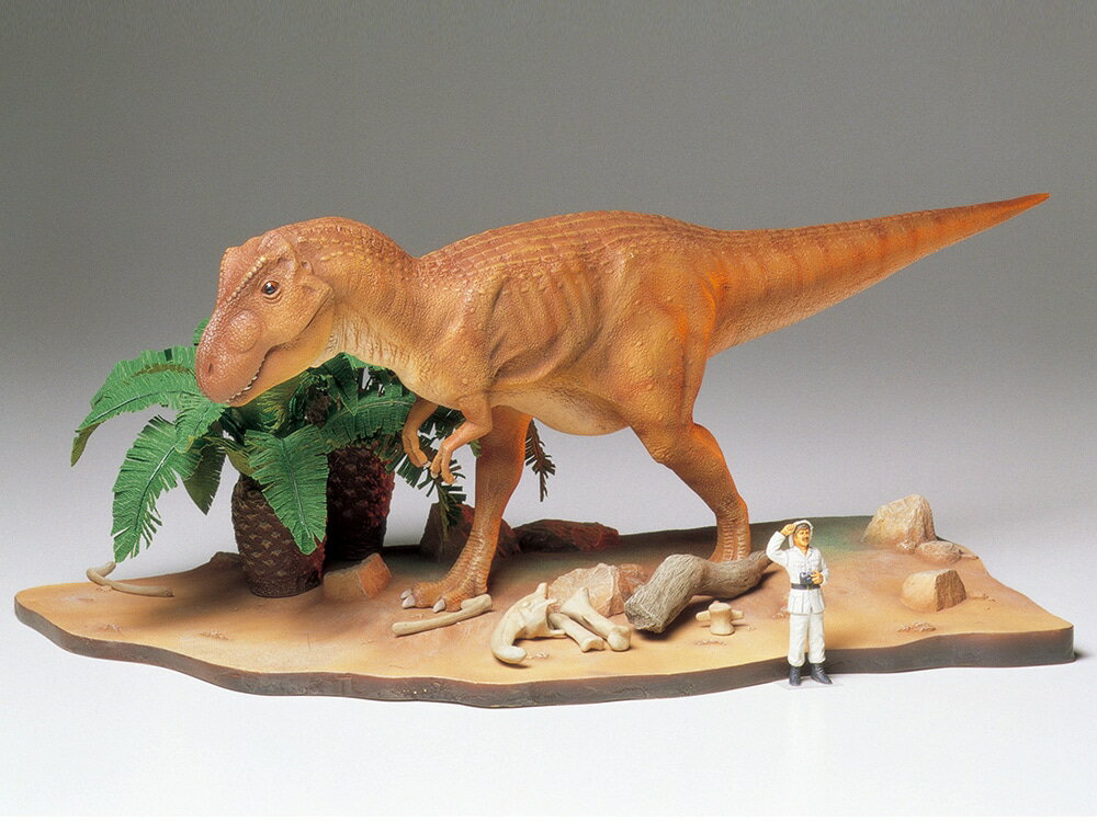 【 最強の肉食恐竜の迫力ある姿を躍動感と共に再現しました 】
《 ティラノサウルスについて 》 
最大最強の肉食恐竜といわれるティラノサウルスは、恐竜時代の終わり頃、7500万年〜8000万年ほど前の白亜紀と呼ばれる時代の後期に、今の北アメリカやアジアに生きていました。
体長は13m前後にもなり、太い尾をピンと伸ばしてバランスをとりながら、がっしりとした2本の後足で歩き、走れば時速30〜40kmは出せただろうと考えられています。
鋭い歯がずらりと並んだ大きな口を武器にして、カスモサウルスやパラサウロロフスなどの草食恐竜を襲っていました。

【 模型要目 】 
最大最強の肉食恐竜、ティラノサウルスを再現した1/35スケールのプラスチックモデル組み立てキットです。
★完成時の体長375mm。情景ベース付き。
★太い尾をピンと伸ばしてバランスを取りながら、がっしりとした2本の後足で歩く躍動感ある姿を生き生きと表現。
★足は2種類をセットして、歩く姿と走る姿を選んで組み立てられます。
★鋭い歯をリアルに再現した口も、開いた状態と閉じた状態を選択可能。
★ソテツの木2本や、草食恐竜パラサウロロフスの骨、大きさの比較にぴったりな人形もアクセサリーとしてセットしました。

【スペック】
完成時の体長375mm。情景ベース付き。
※写真はキットを組み立て、塗装したものです。
※製品は発売当時(1993年)の考証に基づいています。