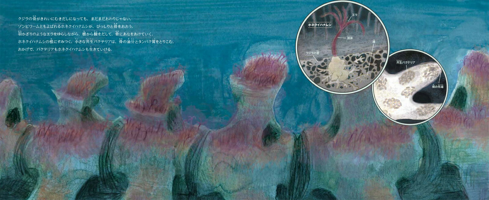 海にしずんだクジラ [ メリッサ・スチュワート ]の紹介画像3