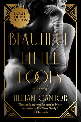 Beautiful Little Fools BEAUTIFUL LITTLE FOOLS -LP [ Jillian Cantor ]