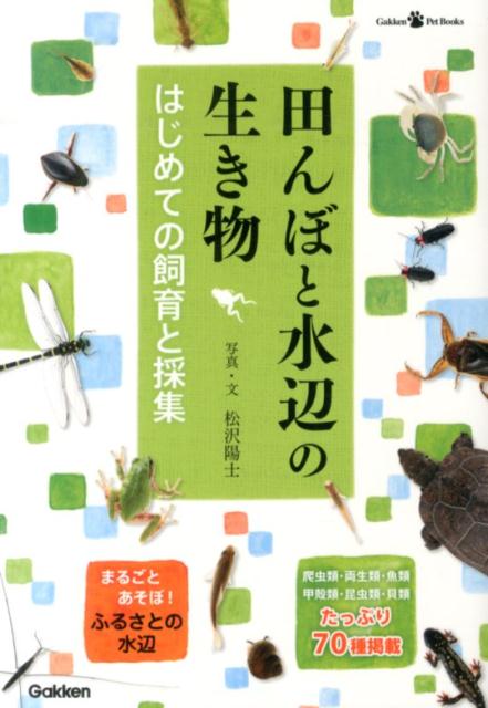 田んぼと水辺の生き物