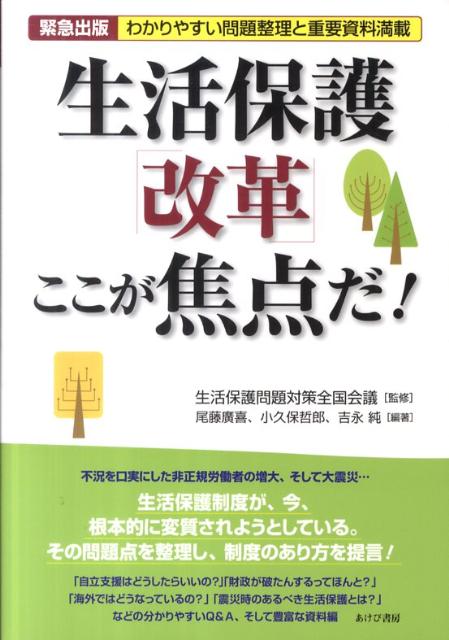 生活保護「改革」ここが焦点だ！