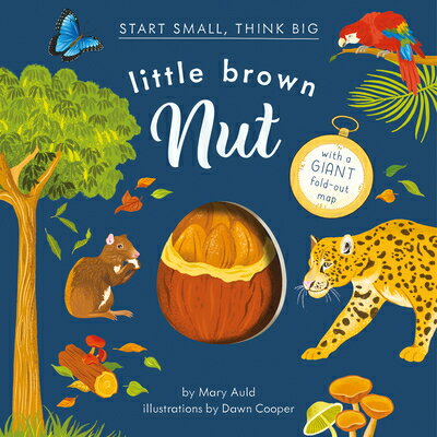 Little Brown Nut LITTLE BROWN NUT （Start Small, Think Big） [ Mary Auld ]
