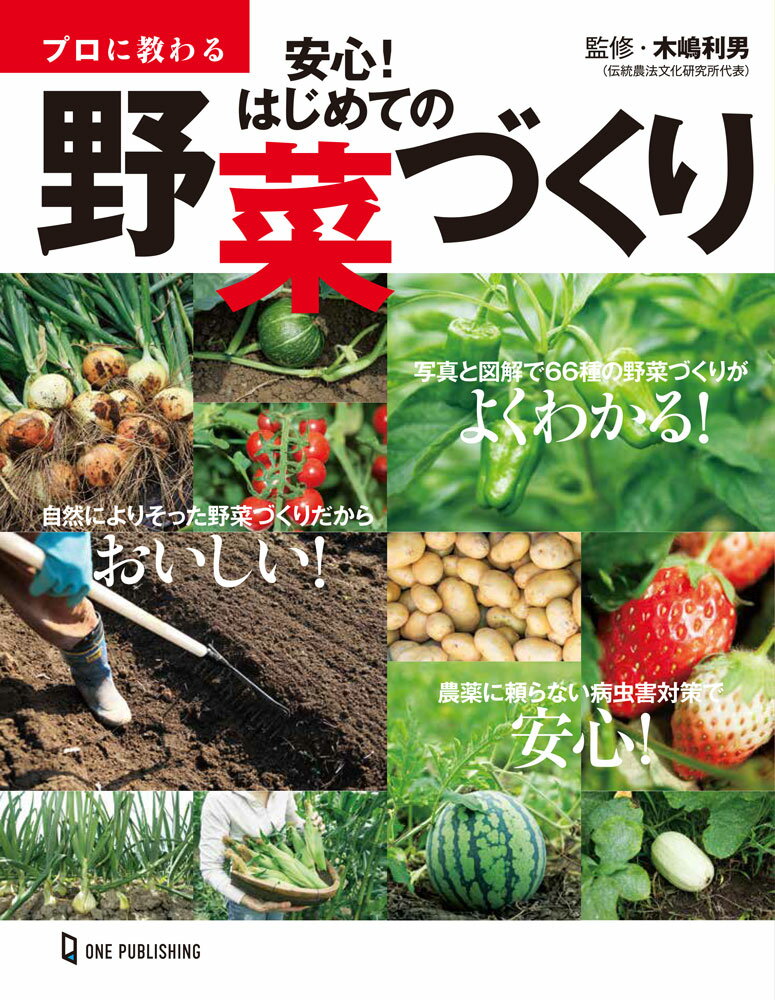 プロに教わる　安心！はじめての野菜づくり