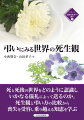 死と死後の世界をどのように認識しいかなる儀礼によって送るのか。人は死ぬとどうなるのか。「死」とは恐れ忌むべきものか、祝うべきものなのかー。世界各地の社会や集団について思想や教義、伝統に基づく弔いのありようと死のとらえ方観察、死生観と弔い方の比較から喪失を受容し乗り越える知恵を学ぶ。