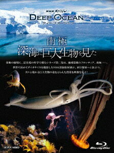 NHKスペシャル ディープオーシャン 南極 深海に巨大生物を見た【Blu-ray】