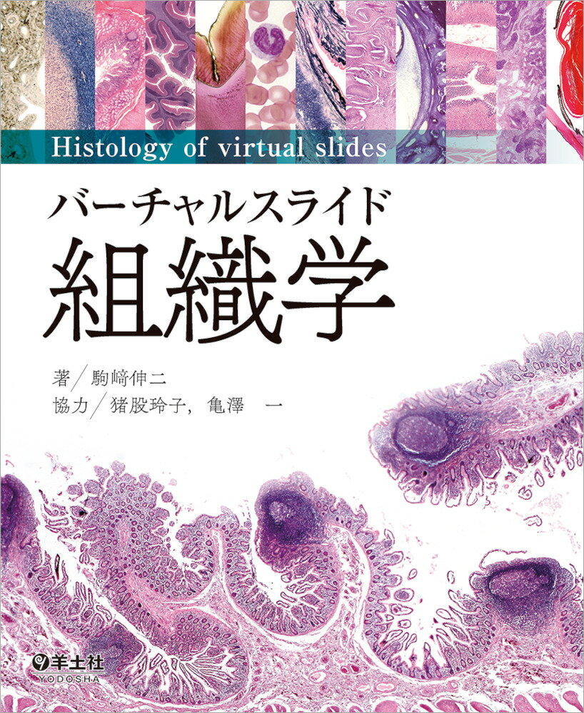 バーチャルスライド　組織学 [ 駒崎　伸二 ]