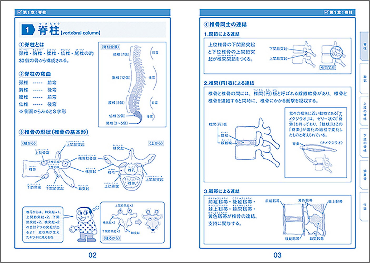 ボーンインパクト イラストと雑学で楽しく学ぶ解...の紹介画像2