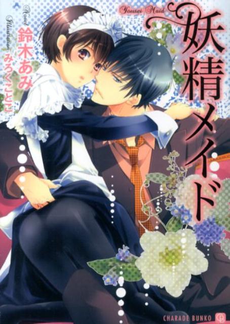 童貞たちが同窓会で再会し、結成したＤＴ部。その一員となった童貞で処女の榊幸歩は、失業し、切羽詰まった家庭の事情から怪しげな家事代行業ーマイメイドサービスに登録するのだが、そこには上客だけに提供されるスペシャルサービスがあった。派遣されたのは、元同級生・一柳の家。やくざの息子で当時から皆に遠巻きにされていた一柳とは、忘れられない因縁がある。幸歩は覚悟を決めて彼のもとへ通い、かいがいしく世話を焼くのだが…。