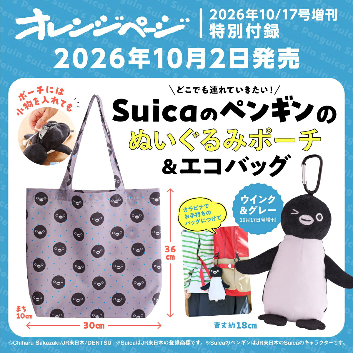 製品画像：30位