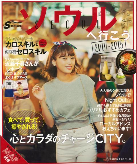 【バーゲン本】ソウルへ行こう　2014-2015