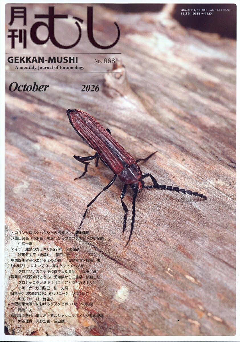 月刊 むし 2026年 10月号 [雑誌]
