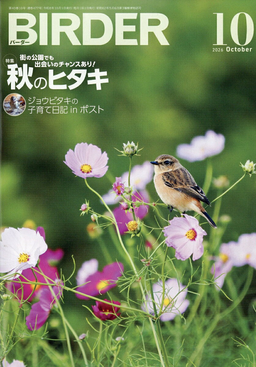 BIRDER (バーダー) 2026年 10月号 [雑誌] （文一総合出版）