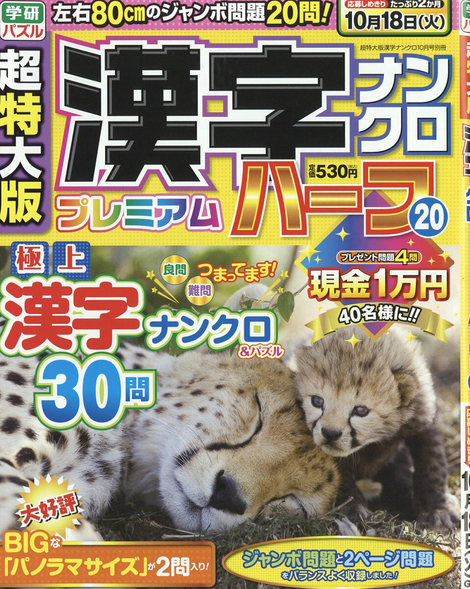 超特大版 漢字ナンクロ プレミアムハーフ Vol.20 2016年 10月号 [雑誌]
