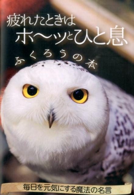 疲れたときはホ〜ッとひと息　ふくろうの本