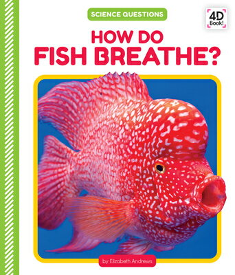 How Do Fish Breathe? HOW DO FISH BREATHE （Science Questions Set 2） [ Elizabeth Andrews ]