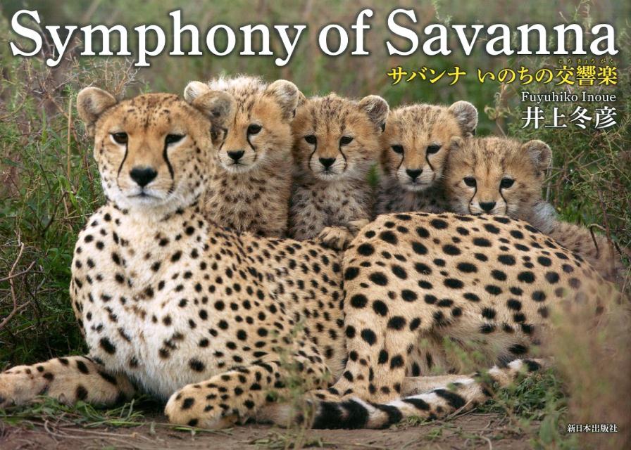 Symphony　of　Savanna