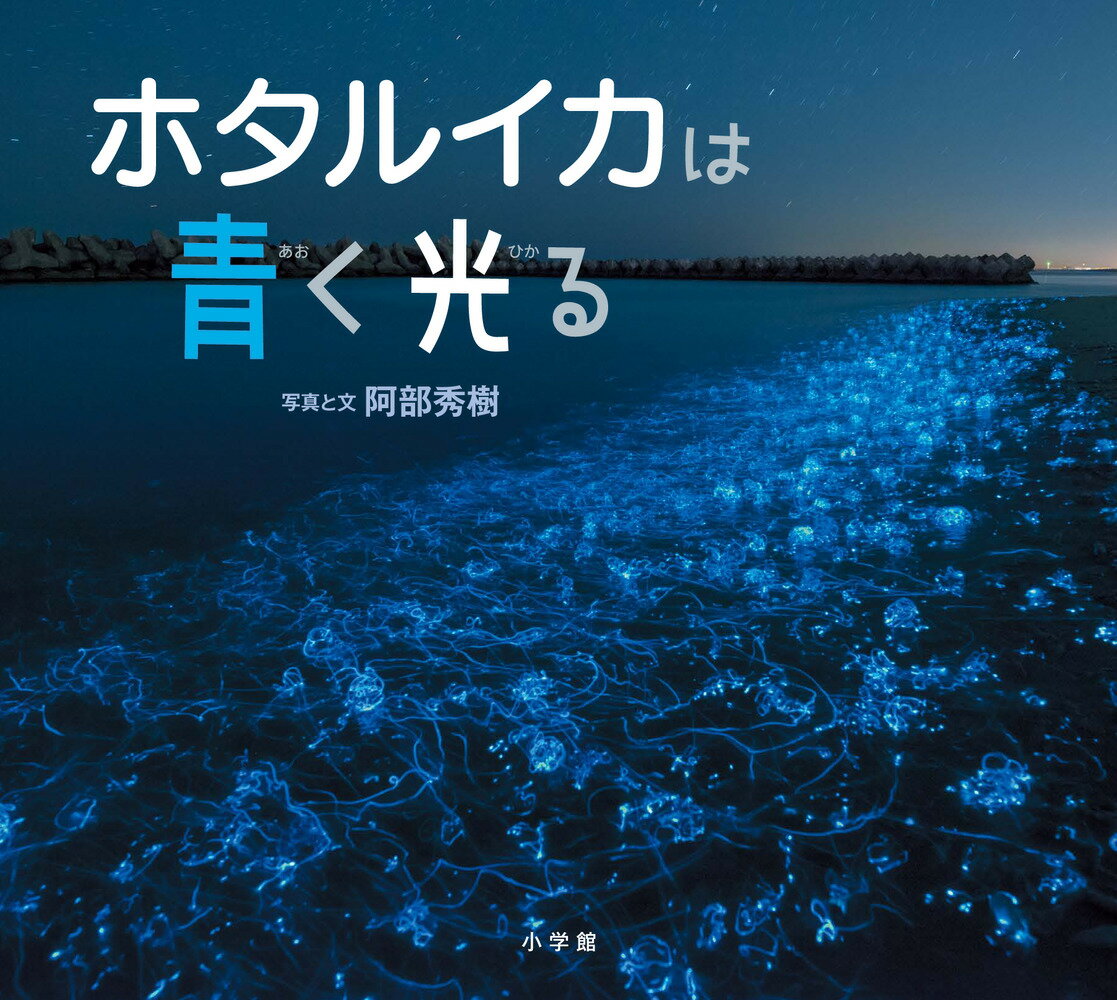 ホタルイカは青く光る （小学館の図鑑NEOの科学絵本） 阿部 秀樹
