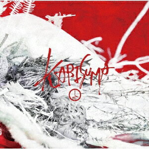 コドモドラゴンカリスマ コドモドラゴン 発売日：2021年04月28日 KARISUMA JAN：4582281541077 BPRVDー410 B.P.RECORDS タワーレコード(株) [Disc1] 『KARISUMA』／CD アーティスト：コドモドラゴン CD JーPOP ロック・ソウル