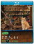 岩合光昭の世界ネコ歩き ソレントとカプリ島【Blu-ray】