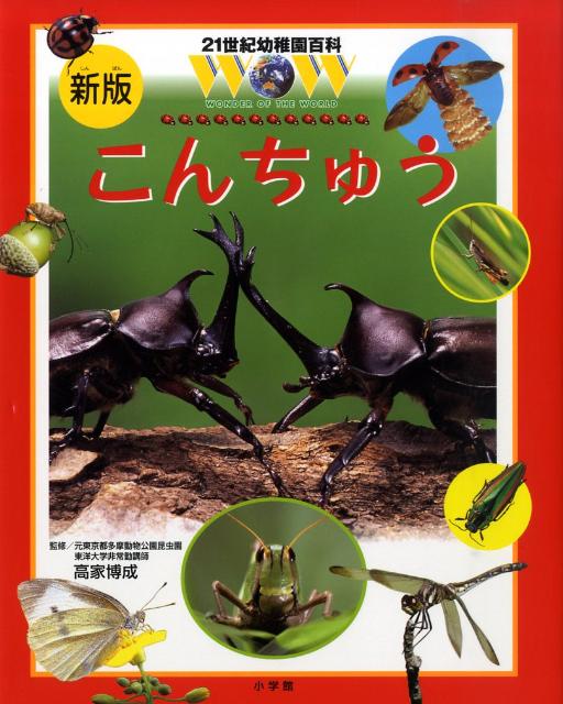 21世紀幼稚園百科〔新版〕 こんちゅう [ 高家博成 ]のサムネイル