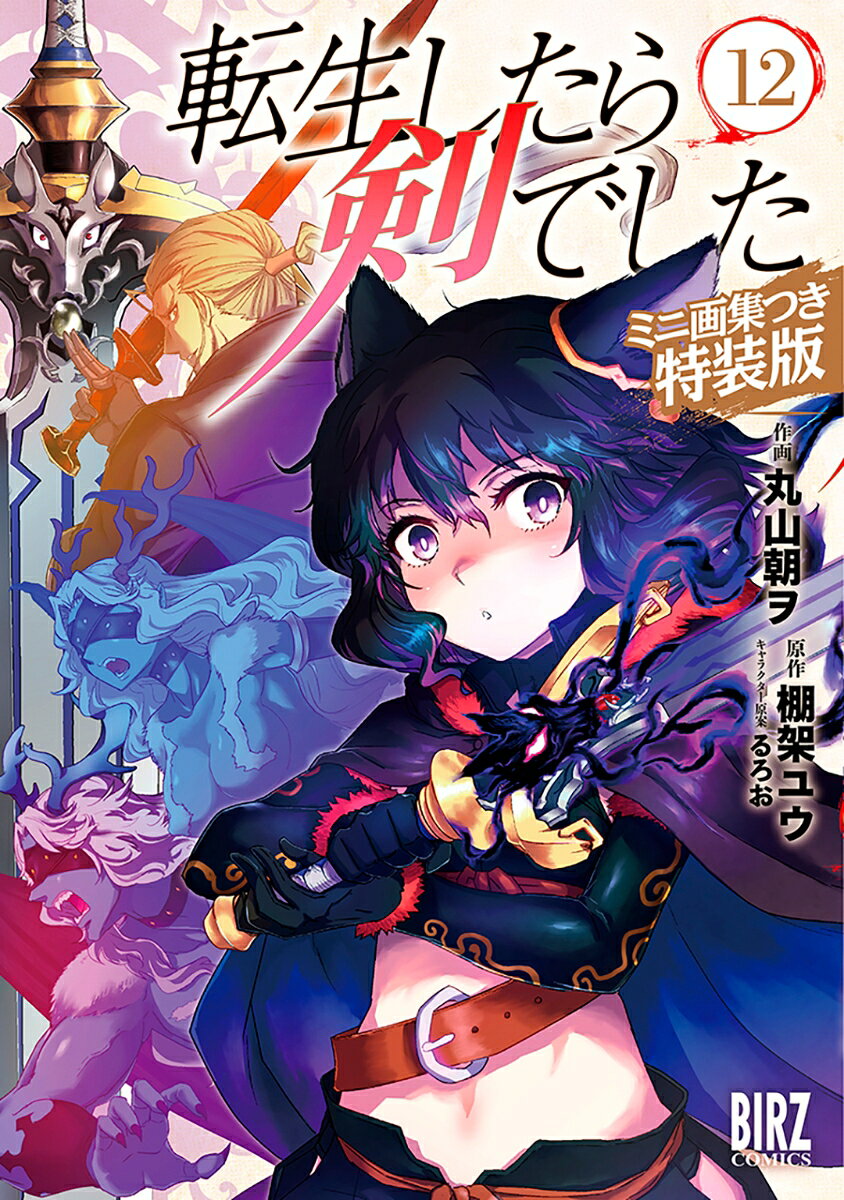 転生したら剣でした ミニ画集つき特装版