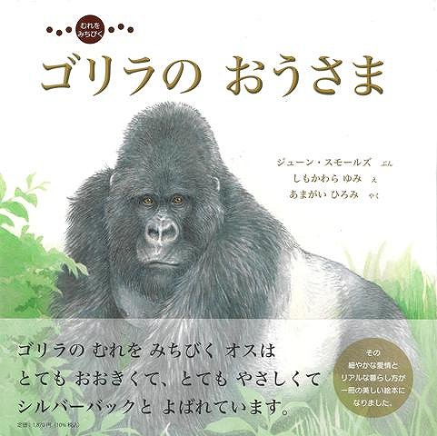 マウンテンゴリラの群れはオスのリーダーが導きます。リーダーはとても身体が大きく、しかしとてもやさしいのです。ある年齢に達するとオスの背中の毛は銀色になり「シルバーバック」と呼ばれるようになります。精細なイラストでゴリラの生活を語る絵本です。