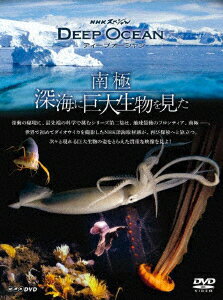 NHKスペシャル ディープオーシャン 南極 深海に巨大生物を見た