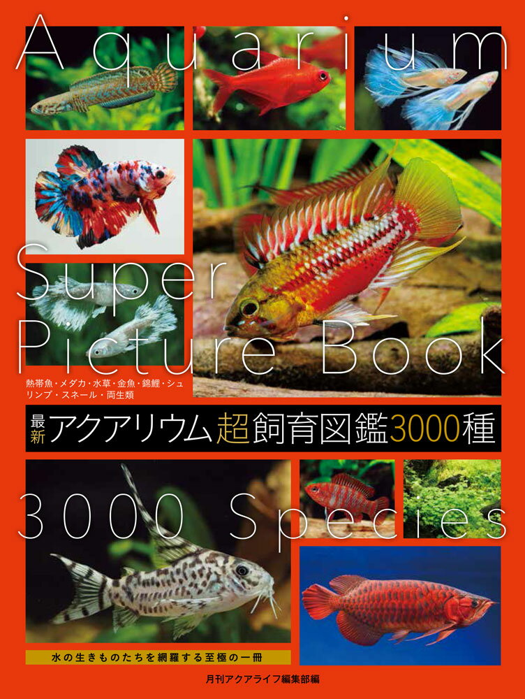 楽天市場】アクアリウム（本・雑誌・コミック）の通販