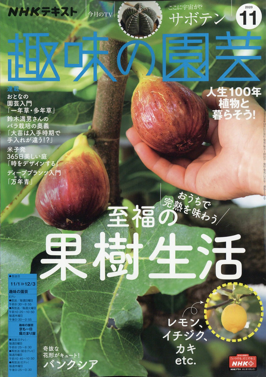 NHK 趣味の園芸 2020年 11月号 [雑誌]