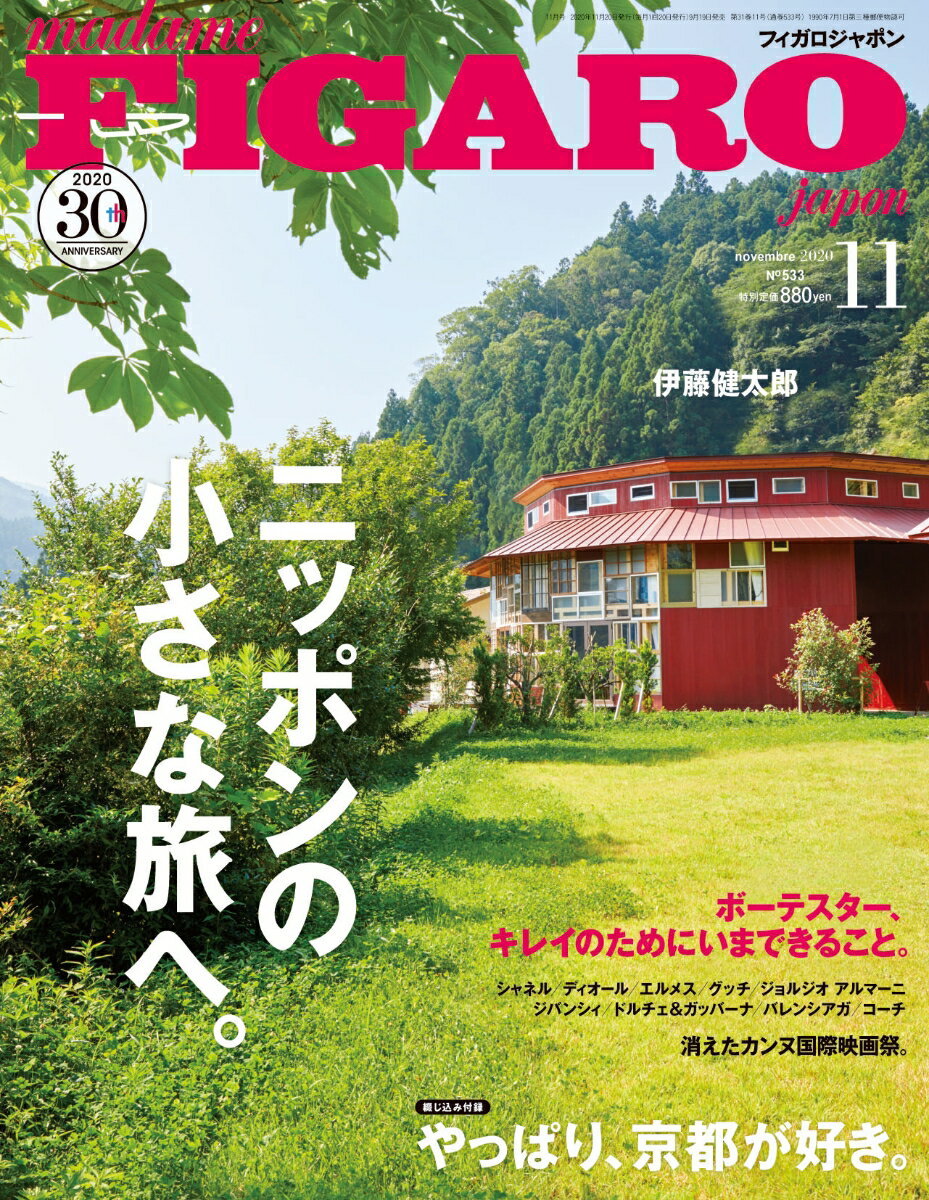 madame FIGARO japon (フィガロ ジャポン) 2020年 11月号 [雑誌]