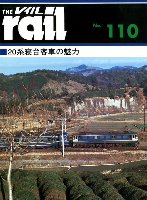 レイル（No．110）