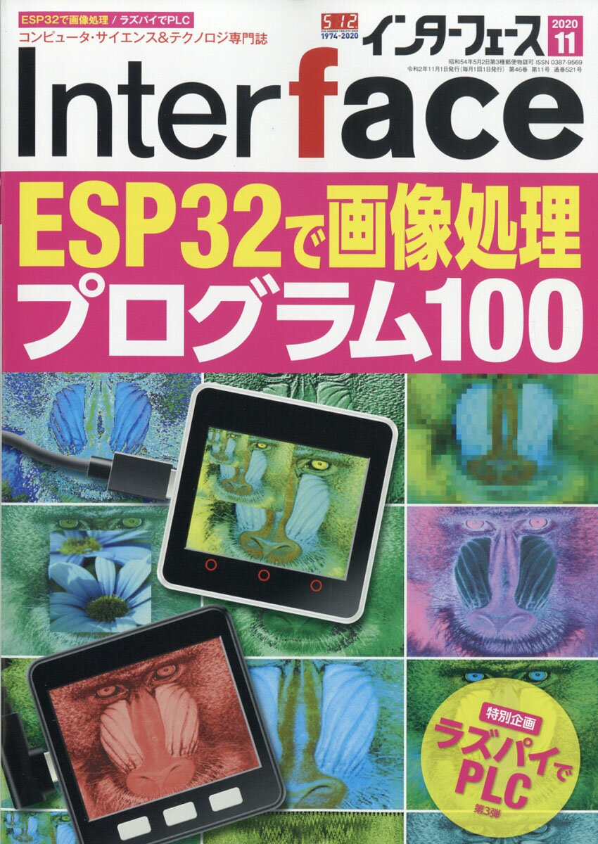 Interface (インターフェース) 2020年 11月号 [雑誌]