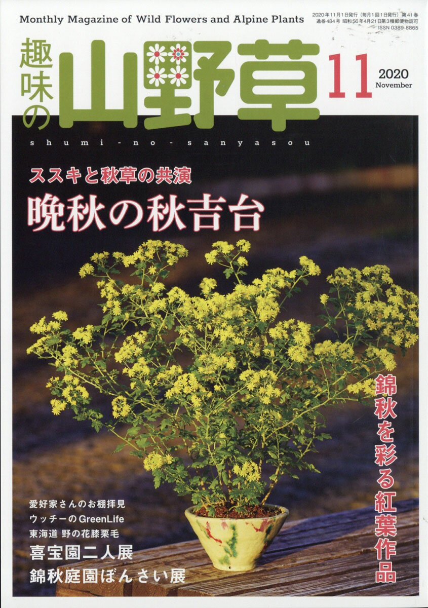 趣味の山野草 2020年 11月号 [雑誌]