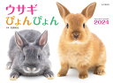 ［カレンダー］ 山と渓谷社ウサギ ピョンピョン カレンダー 発行年月：2023年09月 予約締切日：2023年06月14日 サイズ：単行本 ISBN：9784635861106 本 ホビー・スポーツ・美術 美術 その他 美容・暮らし・健康・料理 ペット その他 科学・技術 動物学 カレンダー・手帳・家計簿 カレンダー 動物・自然