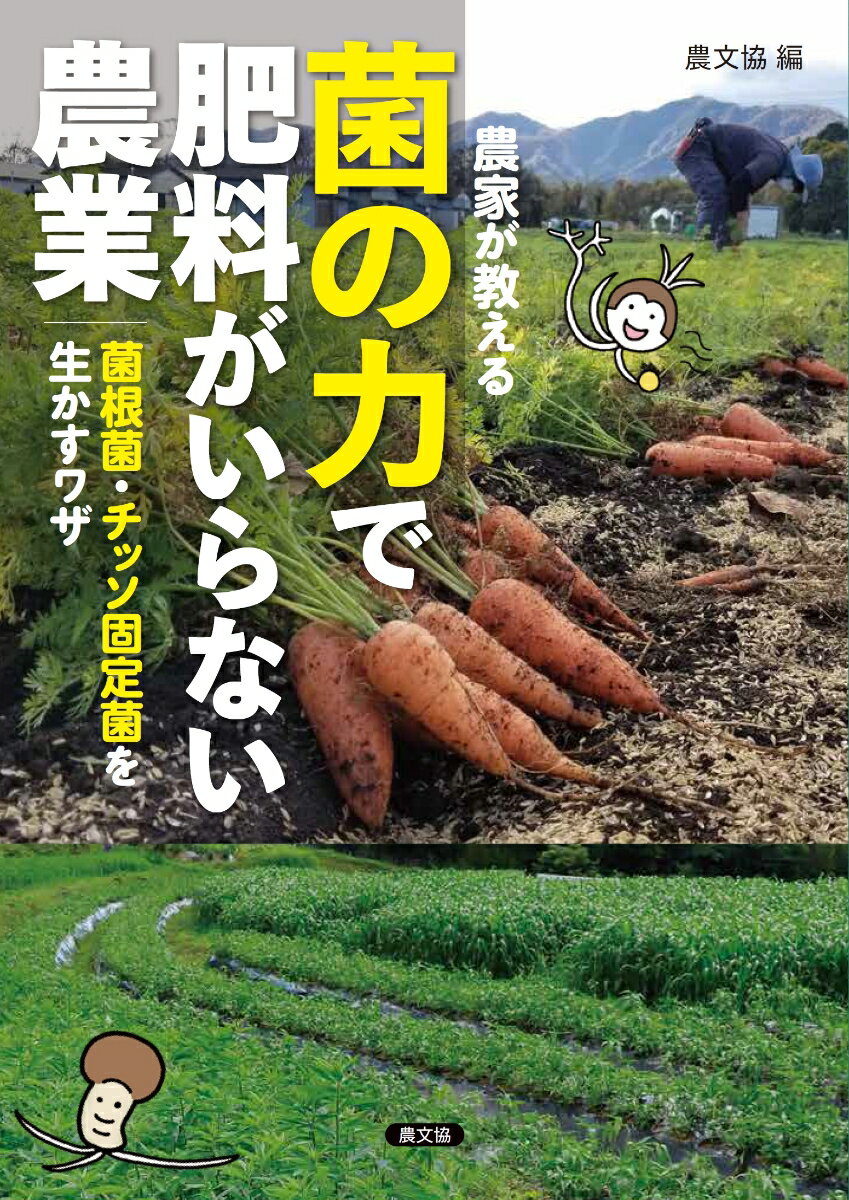 無肥料栽培を可能にする菌の働きに注目が集まっている。土中の埋蔵養分を集めて作物に供給する菌根菌、空中チッソを固定するチッソ固定菌の働きで、無肥料でも作物が育つ。外から菌資材を入れても淘汰され、生き残るのは土着菌。田んぼや畑の環境を整えて、土着の「肥料づくり菌」を増やしたほうがいい。畑の菌根菌は、植物の根の細胞内に入り込んで糖をもらうかわりに、土の中で動きにくいリン酸などを菌糸ネットワークで広範囲から集め、植物が利用できる形に変えて供給してくれる。菌ちゃん農法、リジェネラティブ農業など、不耕起・浅耕、無肥料・減肥、緑肥を取り入れた畑で増える。田んぼのチッソ固定菌は、自らの死骸や根圏でのゆるい共生によりイネにチッソを供給してくれる。低チッソ・高炭素・低酸素・リン酸供給で増え、タンニン鉄による増収例、爆速で菌を増やす資材も出てきた。いま注目の菌根菌・チッソ固定菌の驚きの世界、増やし方など、わかりやすく紹介。