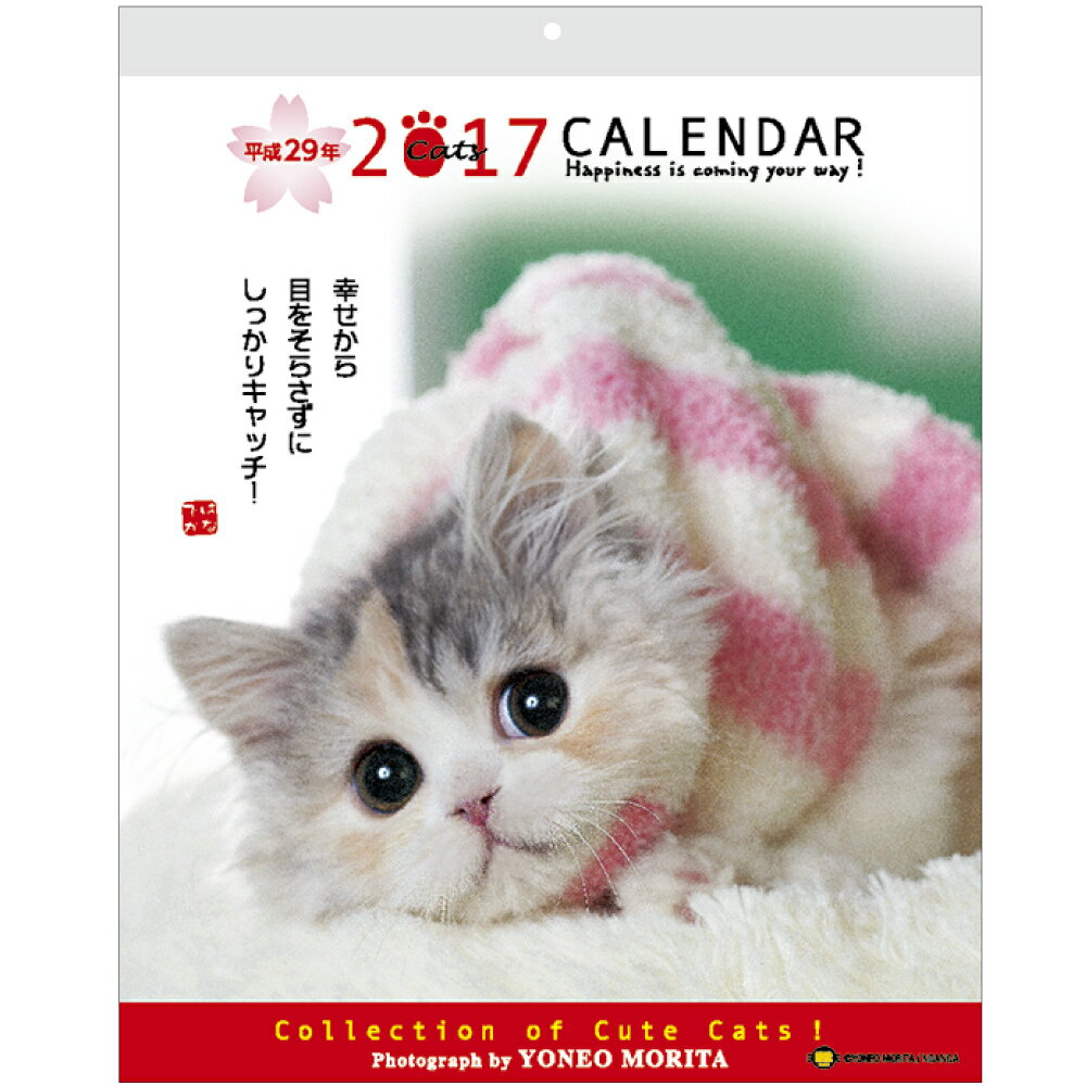 森田米雄・メッセージカレンダーCAT ACL-10 （2017年版カレンダー）