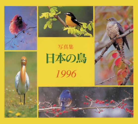 日本の鳥（1996）